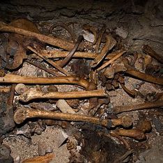 Археологи нашли антивампирское захоронение - Похоронный портал