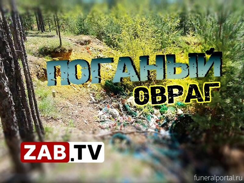 Чита. Свалка на кладбище стала нормой жизни - Похоронный портал