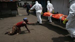 Почти 5 тысяч человек скончались в 8 странах от вируса Эболы - Похоронный портал