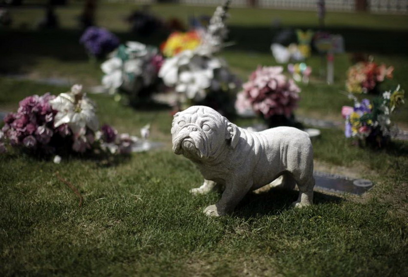 Кладбища домашних животных в США