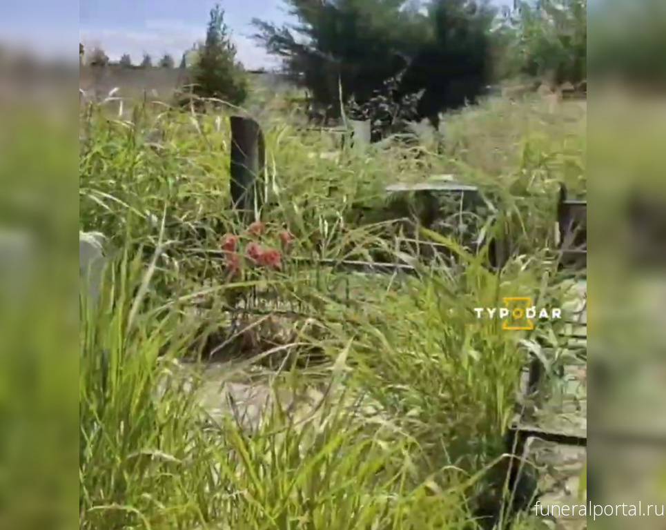 Кубанские кладбища зарастают травой и амброзией  - Похоронный портал