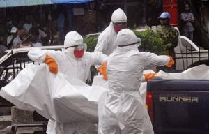 Число погибших от лихорадки Эбола превысило 1900 человек - Похоронный портал