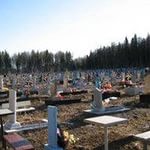 В Липецкой области на кладбище нашли труп младенца в сумке - Похоронный портал