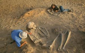 Ученые выяснили, от чего погибла средневековая женщина-великан - Похоронный портал