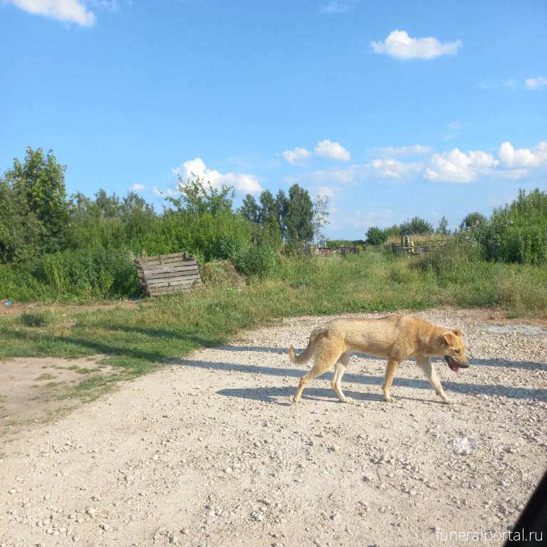 Новости компаний похоронной отрасли