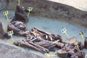 Найдены следы древнейшей войны на Земле - Похоронный портал