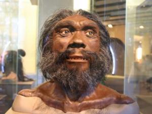 Ученые: «первое в мире убийство» произошло в Испании 436 тысяч лет назад - Похоронный портал
