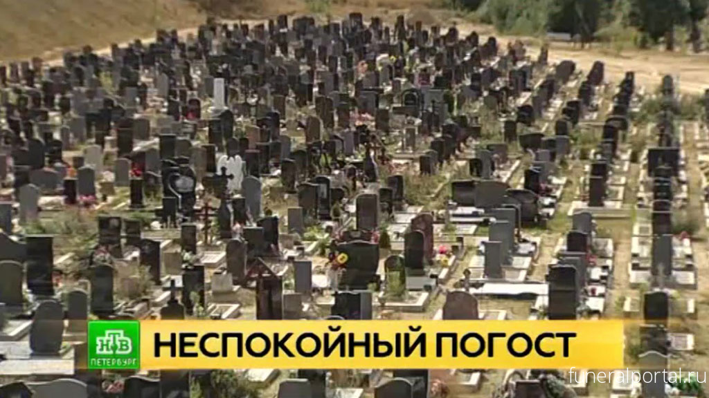 Сорок кавказцев попытались установить контроль над всеволожским кладбищем - Похоронный портал