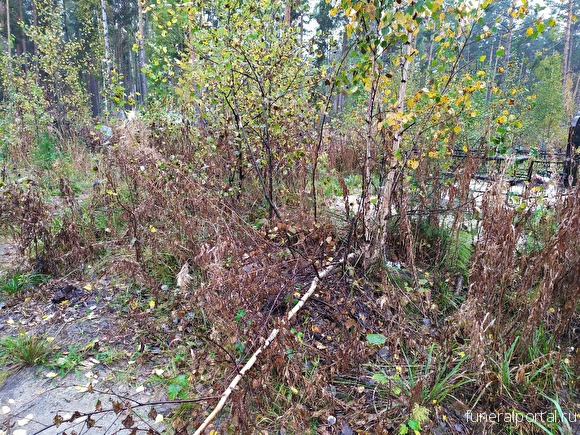 Тюмень. Жители жалуются: кладбище «Червишевское-2» заросло и превращается в свалку - Похоронный портал