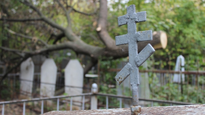 Самара. На бесхозных кладбищах Камышлинского района проходили погребения - Похоронный портал
