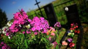 Ремонт ограждения Покровского кладбища в Москве может обойтись в 9,7 млн руб - Похоронный портал