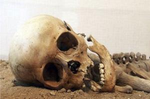 Житель Энгельса нашел в погребе скелет человека - Похоронный портал