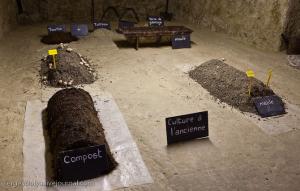 Украинские ученые предлагают делать из покойников компост  - Похоронный портал