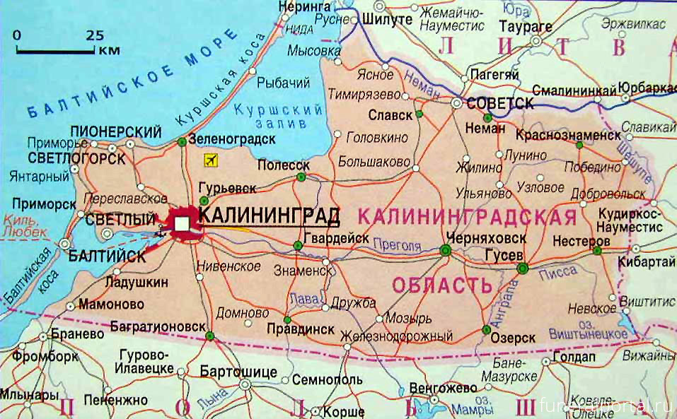 Зна́менск. На кладбище Знаменска чуть не закопали похоронного агента - Похоронный портал