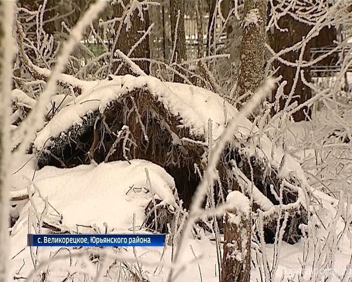 Вятка. Вырубка уникальных сосен на историческом кладбище в селе Великорецком - Похоронный портал