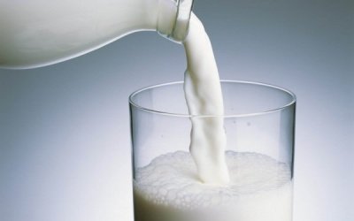 Для похудения полезней жирное молоко, чем обезжиренное