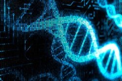 Открыт новый механизм починки ДНК