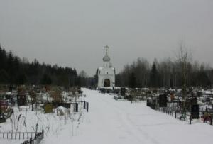 В Подмосковье могут появиться муниципальные кладбища - Похоронный портал