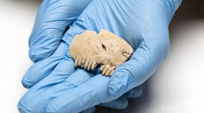 Археологи нашли изготовленный из человеческого черепа древний гребень - Похоронный портал