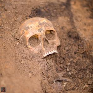 В Англии найден древний скелет с камнем вместо языка - Похоронный портал