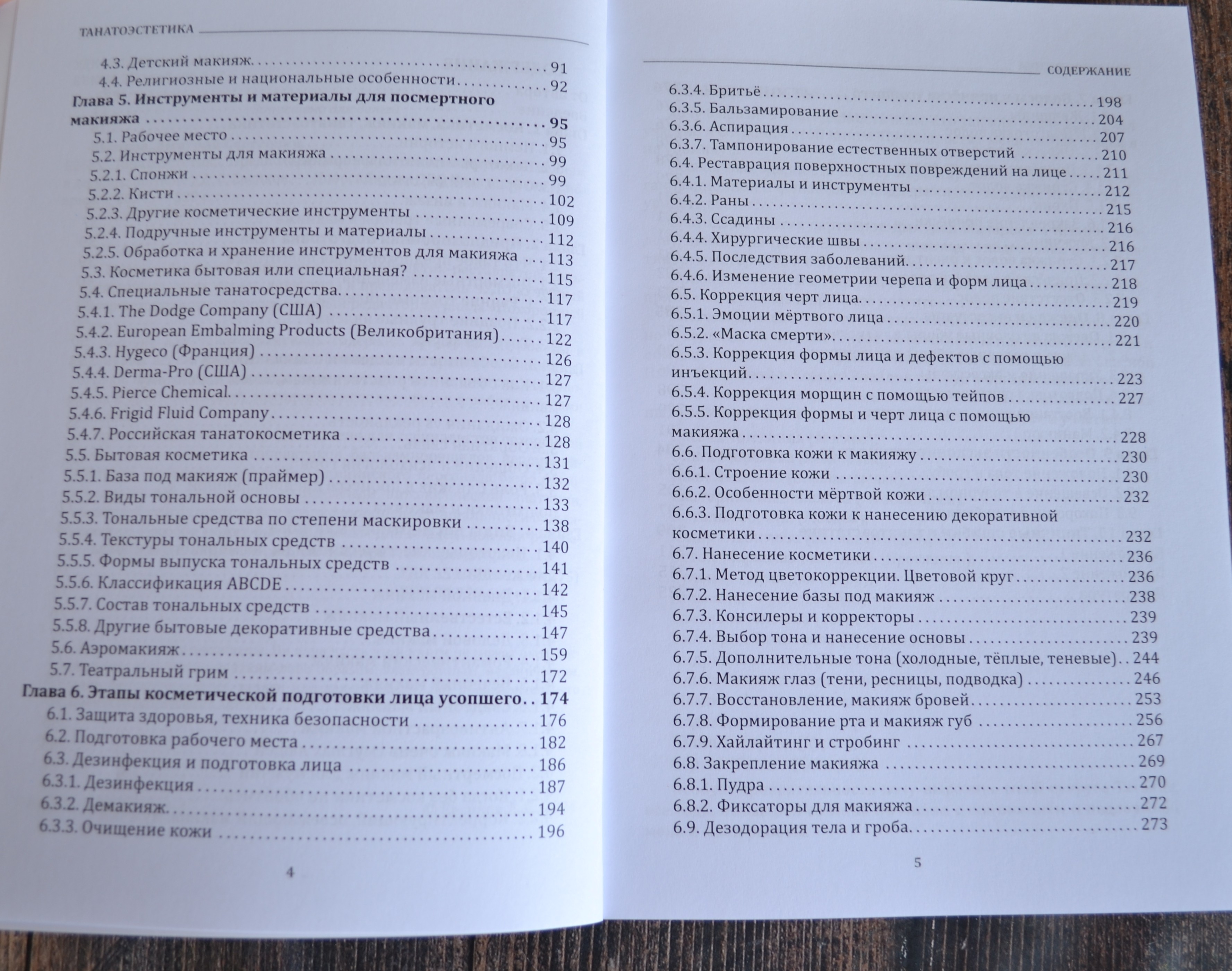 картинка Танатоэстетика (мягкая обложка) от магазина Одежда+