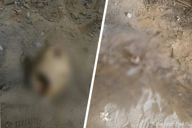 В бывшей студии звукозаписи в Москве нашли человеческие кости - Похоронный портал