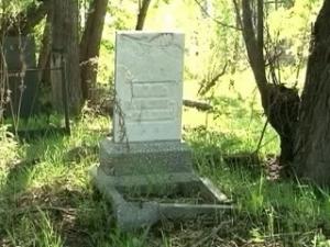 В Тульской области десятки незаконных кладбищ домашних животных (видео) - Похоронный портал