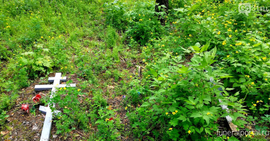 Новости компаний похоронной отрасли