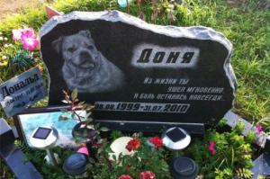 Платное кладбище домашних животных откроют в Бердске - Похоронный портал