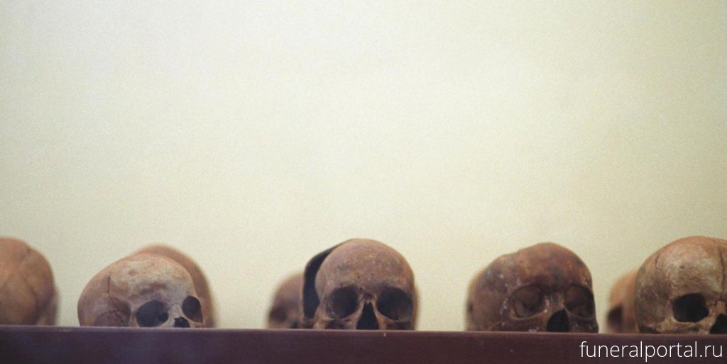 Найден потомок человека, череп которого похитили из Африки - Похоронный портал