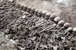 Сто лет геноцида: самые страшные явления массового истребления ХХ века