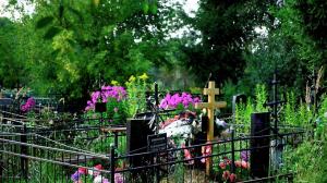 Минпотребрынка проверит состояние кладбищ Подмосковья после урагана - Похоронный портал