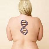 Исследователи: у 82% россиян найден «ген ожирения»