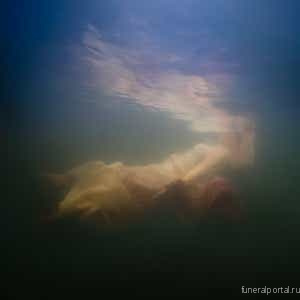 Новости компаний похоронной отрасли