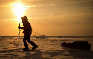 В Арктику отправится экспедиция на поиски могилы участников потопленного конвоя БД-5 - Похоронный портал