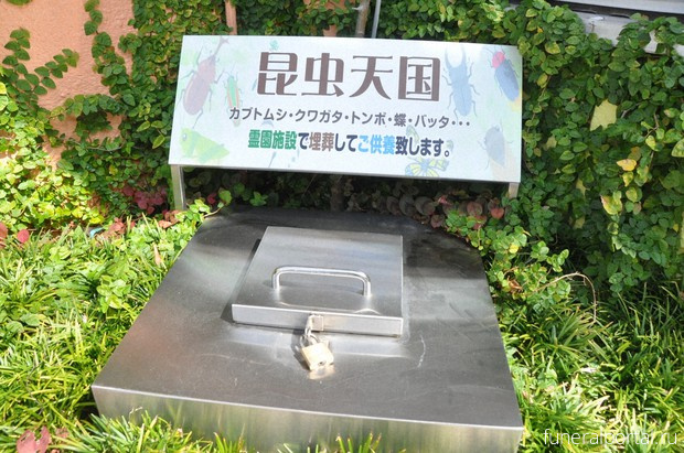 Funeral services to honor pet insects gain quiet popularity in Japan - Похоронный портал