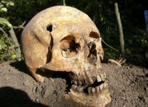 Житель Краснотурьинска нашел в гараже скелет пленного немца - Похоронный портал