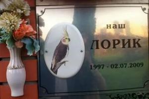 В Подмосковье обнаружен нелегальный крематорий для животных - Похоронный портал