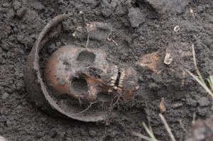 В Воронеже нашли сбитый юнкерс - Похоронный портал