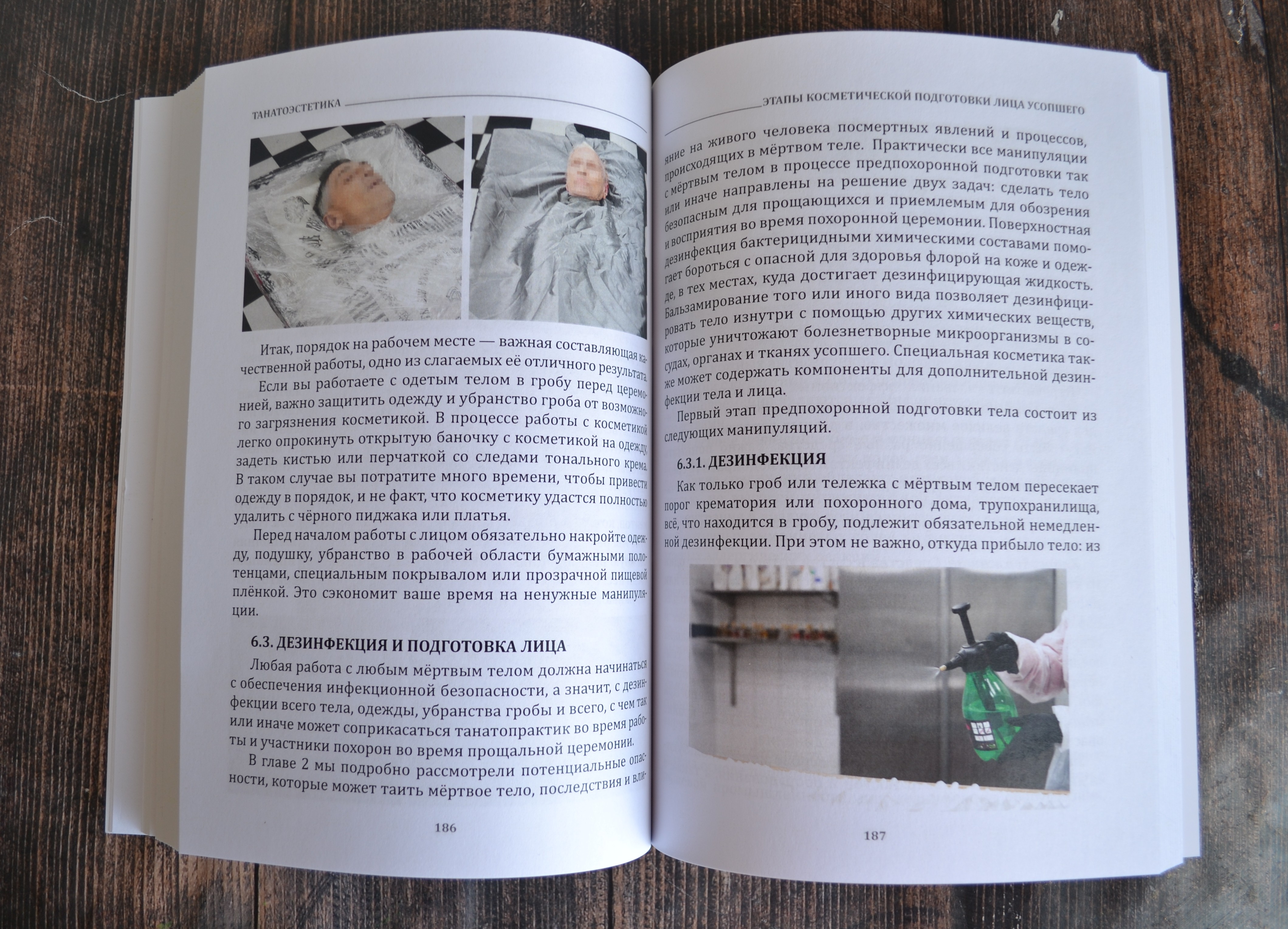 картинка Танатоэстетика (мягкая обложка) от магазина Одежда+