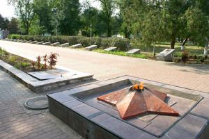Ростовчанин потушил Вечный огонь из-за упавшего сотового телефона - Похоронный портал