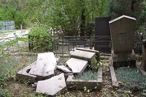 На Вологодчине уничтожили единственное кладбище домашних животных - Похоронный портал
