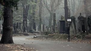 Места на новом Елшанском кладбище закончатся к 2030 году - Похоронный портал