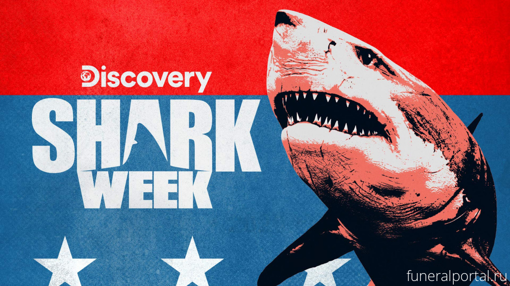 Shark Week in America (It's shark week!)
