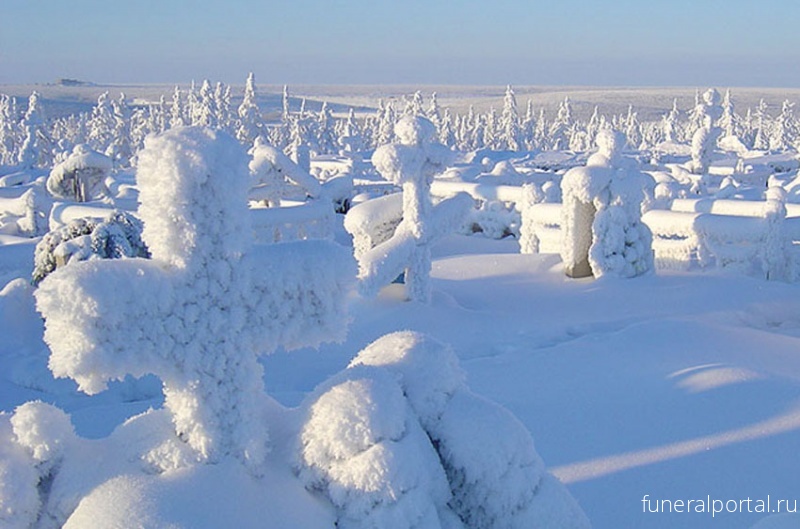 Липчанка отстояла свое право на качественную уборку могилы - Похоронный портал