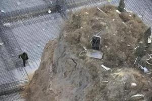 Смольный отдал кладбище под строительство спорткомплекса - Похоронный портал