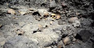 В Мехико раскопали постамент с черепами, сооруженный ацтеками - Похоронный портал