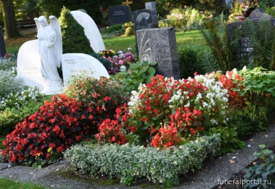 Минск. На минских кладбищах - краснокнижное изобилие - Похоронный портал