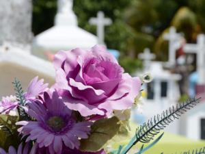 На красноярских кладбищах нашли коррупционную составляющую - Похоронный портал