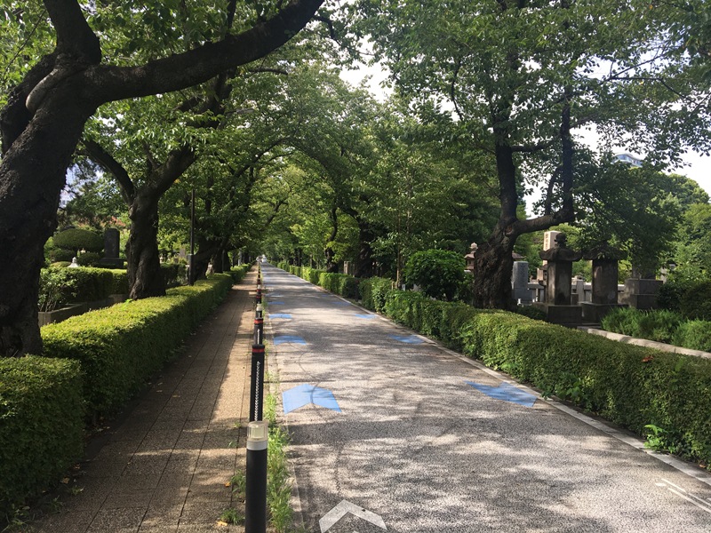 кладбище-Aoyama-япония-44.JPG